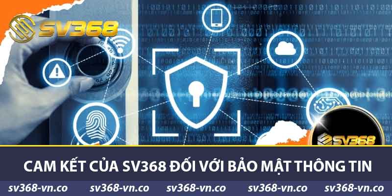 Chính Sách Bảo Mật SV368 - Tổng Quan Và Tầm Quan Trọng 1 Cam kết của sv368 đối với bảo mật thông tin